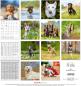 Preview: ALPHA EDITION Bildkalender 2025 104065 Hunde ML 30x30cm