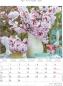 Preview: ALPHA EDITION Bildkalender 2025 104100 Blumen 23.7x34cm