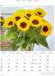 Preview: ALPHA EDITION Bildkalender 2025 104100 Blumen 23.7x34cm