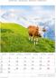 Preview: ALPHA EDITION Bildkalender 2025 104109 Alpen 23.7x34cm