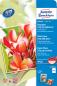 Preview: AVERY ZWECKFORM Superior InkJet Photo Paper A4 2556-20 250g 20 Blatt