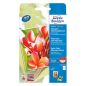 Preview: AVERY ZWECKFORM InkJet Fotopapier 100x150mm C2550-50 250g, glossy 50 Blatt