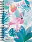 Preview: BIELLA Schüleragenda Women 23/24 806517870024 3½T/1S, Wire-O 12x16.5cm