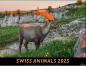 Preview: CALENDARIA Bildkalender 2025 783036204444 Swiss Animals 40x31cm