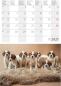 Preview: CALENDARIA Postkartenkalender 2025 783036205045 Barry 14.8x22cm