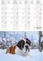 Preview: CALENDARIA Postkartenkalender 2025 783036205045 Barry 14.8x22cm