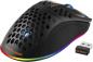 Preview: DELTACO Lightweight Gaming Mouse,RGB GAM-120 Wireless, Black, DM220