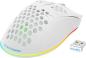 Preview: DELTACO Lightweight Gaming Mouse,RGB GAM-120-W Wireless, White, WM80