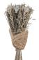 Preview: Eglo trockenblumen caraquet 50cm 428072 beige - Eglo-428072-9008606266807-02.jpg