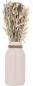 Preview: Eglo trockenblumen caraq 28cm 428081 beige, mit vase - Eglo-428081-9008606266883