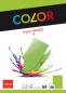 Preview: ELCO Office Color Papier A4 74616.62 80g, grün 100 Blatt