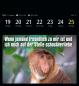 Preview: HARENBERG Postkartenkalender 2025 3310183+25 Animal Memes 16x17.5cm