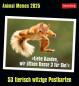 Preview: HARENBERG Postkartenkalender 2025 3310183+25 Animal Memes 16x17.5cm