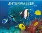 Preview: HEYE Bildkalender 2025 23230+25 Unterwasser 44x34cm