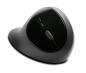 Preview: KENSINGTON Pro Fit Ergo Mouse K75404EU wireless blk