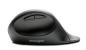 Preview: KENSINGTON Pro Fit Ergo Mouse K75404EU wireless blk