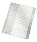 Preview: LEITZ Register PP A4 12840000 1-20 grau