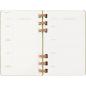 Preview: MOLESKINE Agenda Spiral Life Large 2025 056999271510 1W/1S 12M kiwi 13x21cm