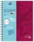 Preview: OXFORD European Book, Whiteboard A4+ 400132984 kariert, beere 120 Blatt