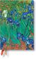 Preview: PAPERBLANKS Agenda Iris de Van Gogh 2024 DF0563-6 Mini, fr, HOR, 12M, 1W/2S