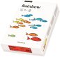 Preview: PAPYRUS Rainbow Papier FSC A4 88042498 80g, lachs 500 Blatt