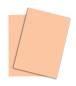 Preview: PAPYRUS Rainbow Papier FSC A4 88042498 80g, lachs 500 Blatt