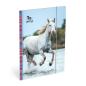 Preview: ROOST Gummizugmappe Amazone 503220 white horse 26x1x35cm