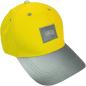 Preview: Roost basecap 89318 reflactions, roar - Roost-89318-4028279893181