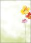 Preview: SIGEL Motiv-Papier A4 DP123 Spring Flowers 90g,50 Blatt