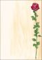 Preview: SIGEL Designpapier A4 DP695 Rose Bloom, 90g 25 Blatt