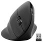 Preview: SPEEDLINK PIAVO Ergonomic Mouse SL-630019-RRBK wireless, vertical, black