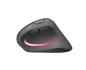 Preview: Speedlink piavo pro illum. ergo mouse sl-630026-bk wireless,rechargeable,black - Speedlink-sl-630026-bk-4027301907223-03.jpg