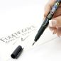 Preview: TOMBOW Kalligraphie-Set WS-BH/BS WS-BHS-2P Fudenosuke, schwarz 2 Stück