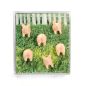 Preview: TRENDFORM Magnete PIGGY FA4593 6er Set assortiert