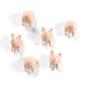 Preview: TRENDFORM Magnete PIGGY FA4593 6er Set assortiert