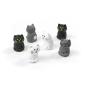 Preview: TRENDFORM Magnete CAT FA4618 6er Set assortiert