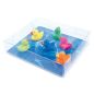 Preview: TRENDFORM Magnete DUCK FW3526 6er Set assortiert