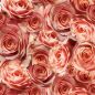 Preview: URSUS Skizzenpapier 30,5x30,5cm 70010004 Rosen rosa 5 Blatt