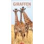 Preview: WEINGARTEN Bildkalender 2025 2959000+25 Giraffen 33x68cm