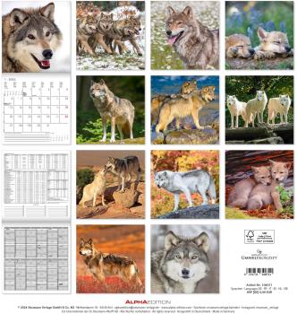 ALPHA EDITION Bildkalender 2025 104071 Wölfe 30x30cm