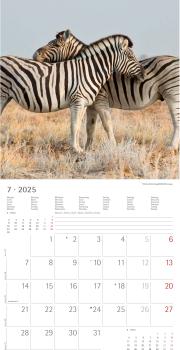 ALPHA EDITION Bildkalender 2025 104079 Beste Freunde ML 30x30cm