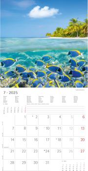 ALPHA EDITION Bildkalender 2025 104087 Summer Dreams ML 30x30cm