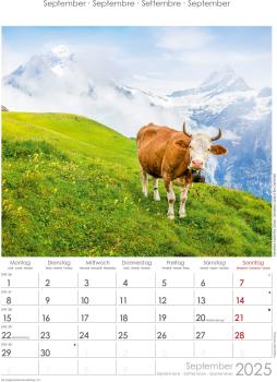 ALPHA EDITION Bildkalender 2025 104109 Alpen 23.7x34cm