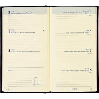 BREPOLS Agenda Interplan Sunrise 2025 73602759960 1W/2S ass. ML 9x16cm