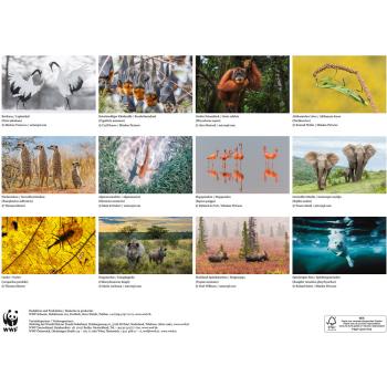 CALENDARIA Bildkalender 2025 45754326 WWF Wildlife ML 34x48cm