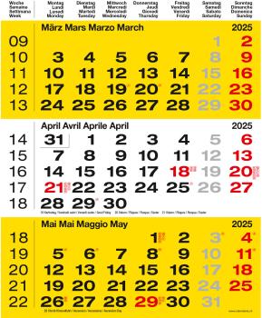 CALENDARIA 3-Monats-Wandkalender 2025 783036204598 gelb 31x40cm