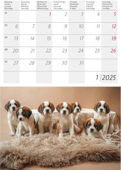 CALENDARIA Postkartenkalender 2025 783036205045 Barry 14.8x22cm