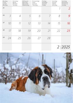 CALENDARIA Postkartenkalender 2025 783036205045 Barry 14.8x22cm