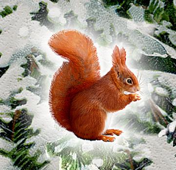 Coppenrath wandkalender 72619 weihnachtslaterne - Coppenrath-72619-4050003726199-03.jpg
