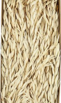 Eglo trockenblume 60cm 428036 beige - Eglo-428036-9008606258611-02.jpg